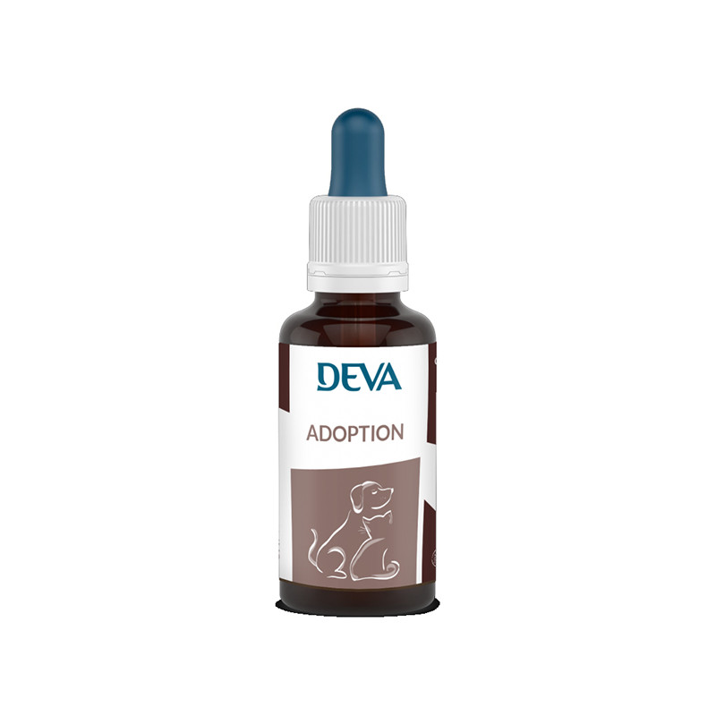 Adoption_elixir_animaux_Deva