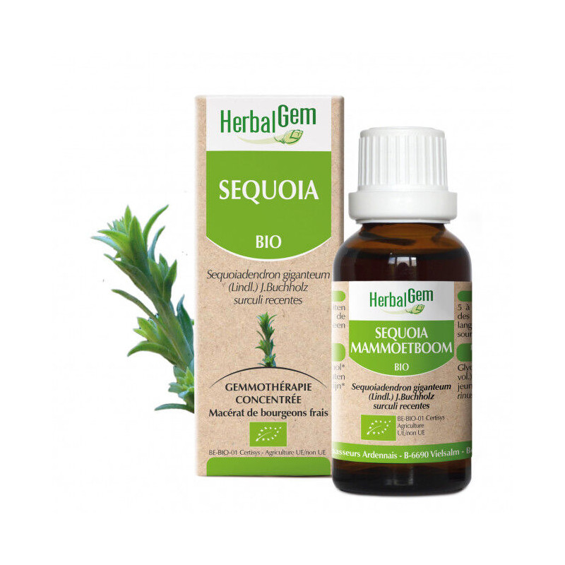 sequoia_bio_30ml_Herbalgem