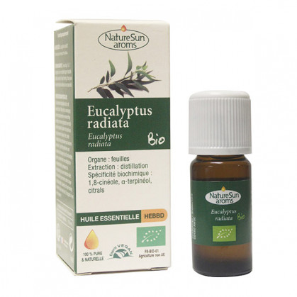 Eucalyptus_radiata_bio_10ml_naturesun