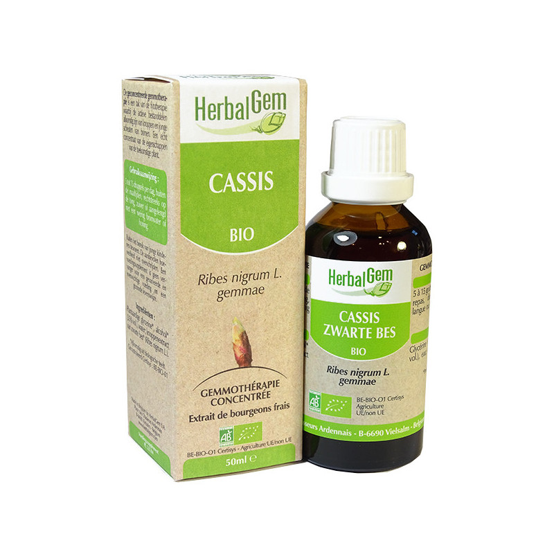 Cassis Bio HerbalGem 15 ml