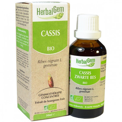 Cassis Bio HerbalGem 15 ml