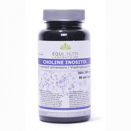 choline inositol equi-nutri 90 gélules 1 boite de 90 gélules