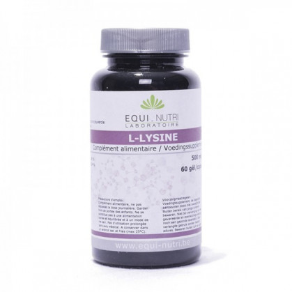 L-Lysine 500 60 gélules