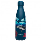 Qwetch_bouteille_isotherme_Baleine_500ml