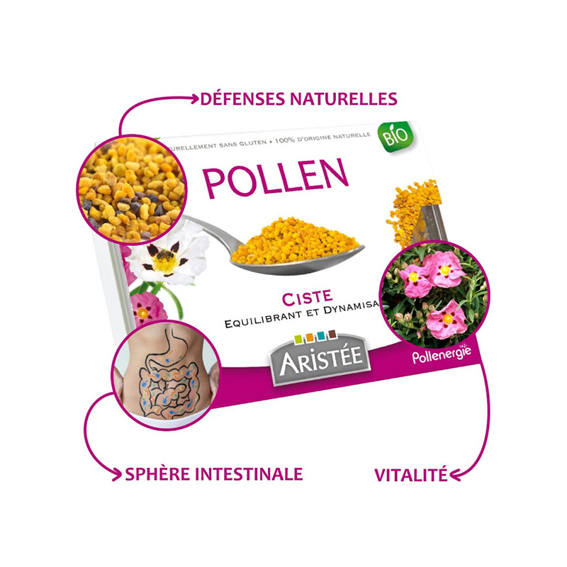 Pollen_Ciste_Aristée
