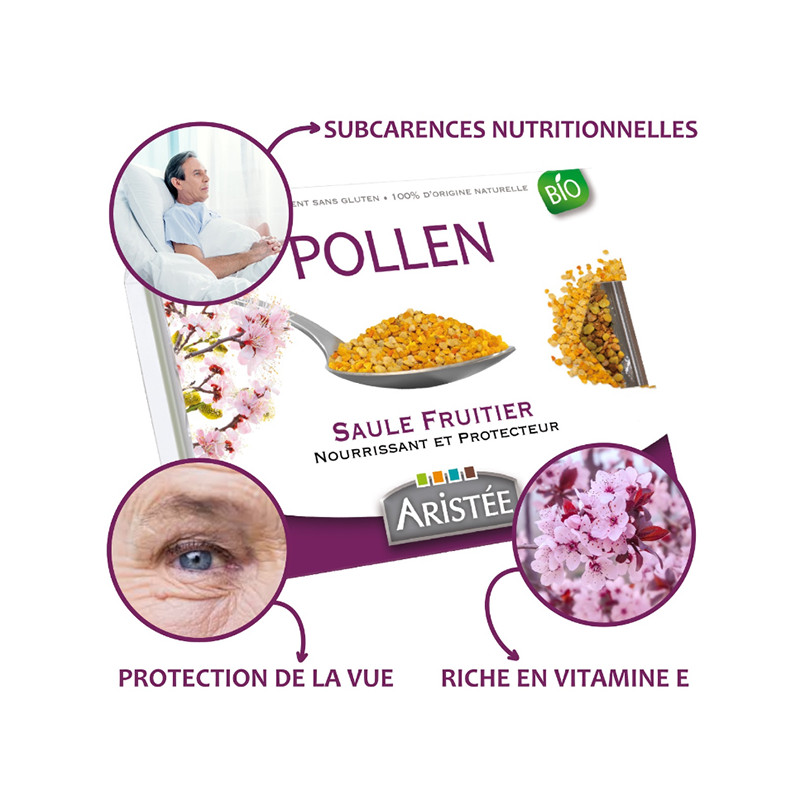 Pollen_Saule_fruitier_aristée