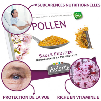 Pollen_Saule_fruitier_aristée