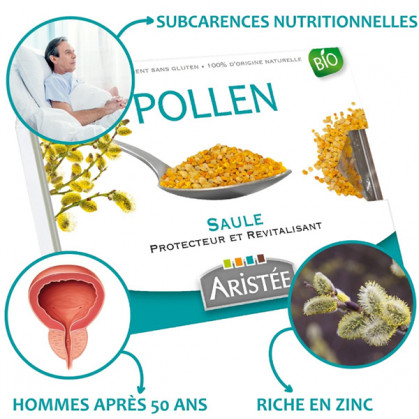 Pollen_Saule_normal_aristée